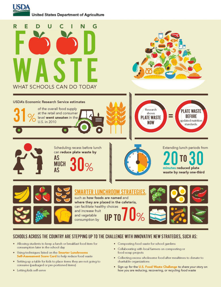 Reducing Food Waste: What Schools Can Do Today