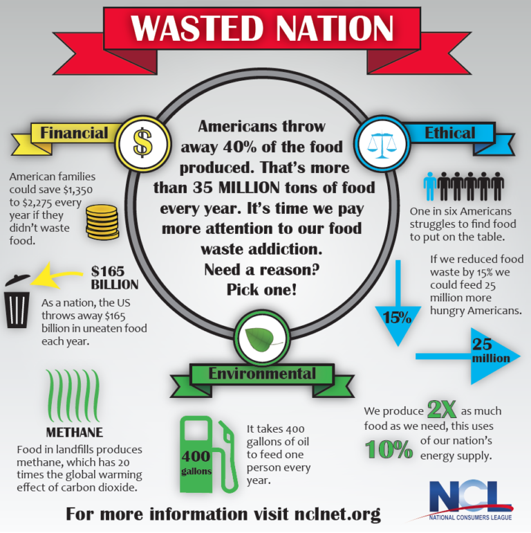 Wasted Nation: Infographic