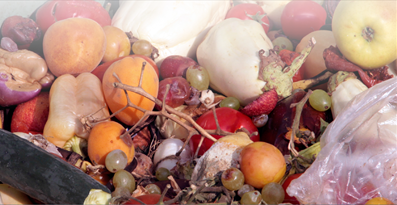 Estimated Amount of Postharvest Food Losses at the Retail and Consumer Levels in the U.S.