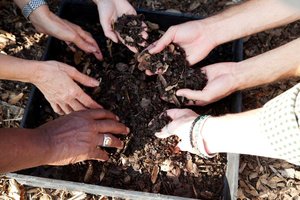 The Composting Collaborative