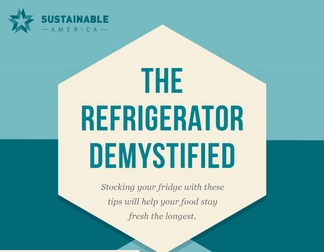 Refrigerator Organization Guide