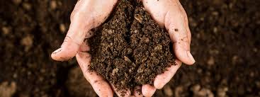 Recycle Food’s Nutrients through Composting