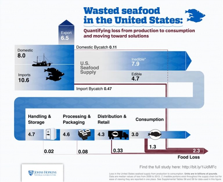 Wasted Sea Food in the U.S. – JHU