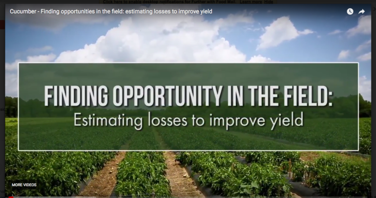 Finding Opportunity in the Field: Estimating Losses to Improve Yield